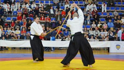 Грант на боевые искусства